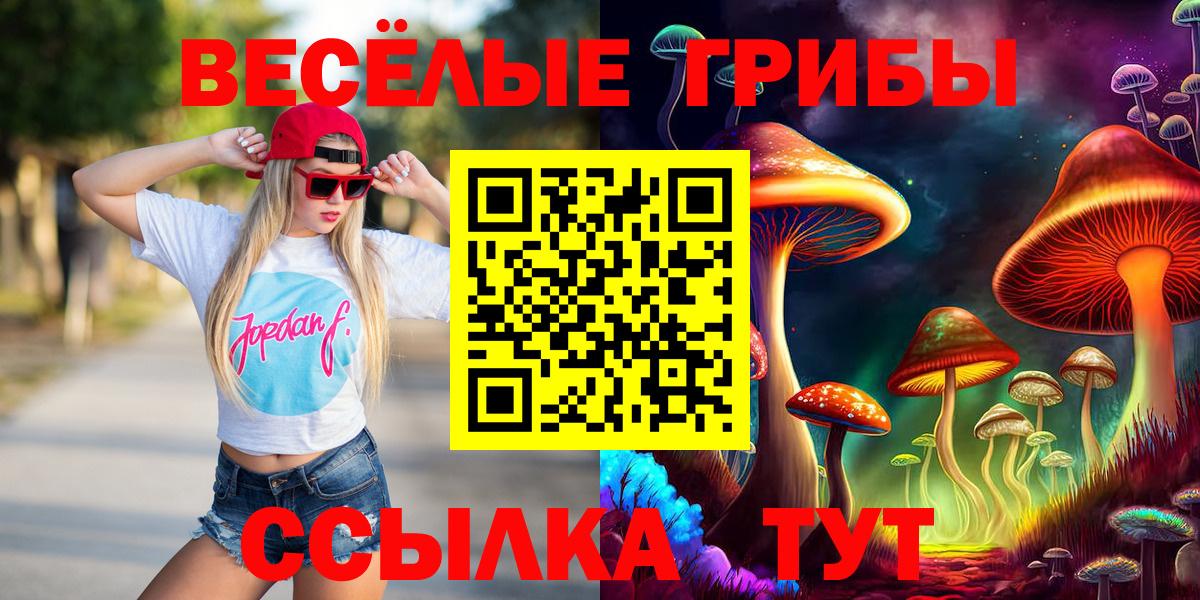 Псилоцибиновые грибы Magic Shrooms  Галлюциногенные грибы GOLDEN TEACHER  Славгород 