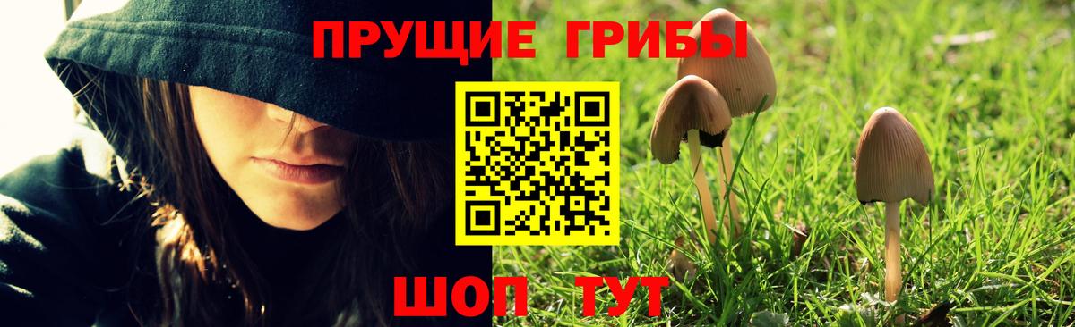 Галлюциногенные грибы Cubensis  как найти   Славгород  Вход с VPN 